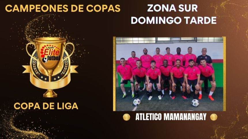 CAMPEÓN DE COPA. ZONA SUR DOMINGO TARDE